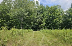 9907 SH 3, Piercefield, NY 12973