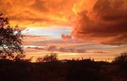 E162 E De Vaca Circle, St. David, AZ 85630