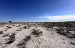 8875 N 8000 W, Delta, UT 84624