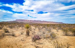 20017 Romero Rd, Terlingua, TX 79852