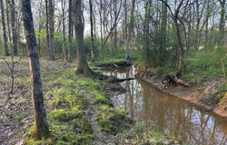 Hwy 45 Alt, Okolona, MS 38860