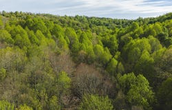 Black Ridge Road, Floyd, VA 24091