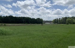 FM 785, Atlanta, TX 75551