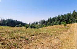20661 Meadowview Rd, Harrisburg, OR 97446