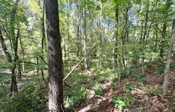 Chapel Hill Rd., Grenada, MS 38901