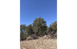 41st Trail, Cotopaxi, CO 81223