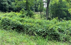 Bates Creek Road, Murphy, NC 28906