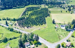 CANYONVILLE-RIDDLE Rd, Riddle, OR 97469
