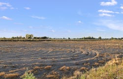 286 Ferdinand Circle, Burley, ID 83318