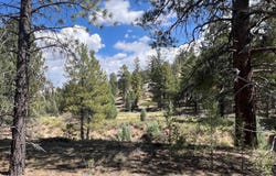 Elk Ridge Estates lot: # 12 Phase 6, Alton, UT 84710