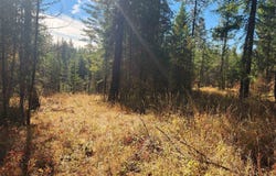 43xx Lyons Hill Rd, Springdale, WA 99173