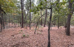 212-E Tree Top Path, Moyers, OK 74557