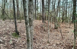 2881 Hwy 589, Purvis, MS 39465