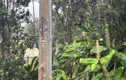 ALAULA ST, Volcano, HI 96785