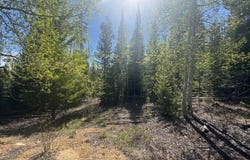 44 Wilderness Rd, Walden, CO 80480