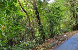 Florencio, Fajardo, PR 00738