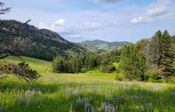 153 Black Canyon Lane, Cascade, MT 59421