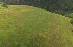 American Ridge Rd (Parcel 6), Kendrick, ID 83537