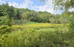 14502 Burrows Ln, Viola, WI 54664