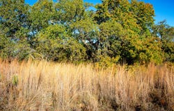 3400 FM 45, San Saba, TX 76877