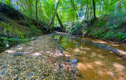 0 HWY 5, Marion, AL 36756