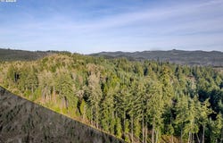 Holly - Lot 2, CottageGrove, OR 97424
