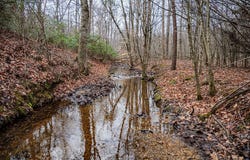Troublesome Creek Rd, Buckingham, VA 23921