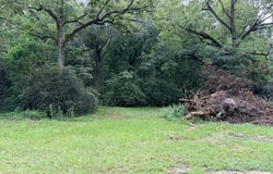 8 Lot E Purvis, Geneva, AL 36340