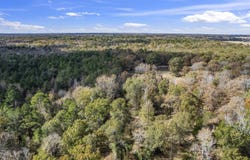 CR 3170, Winnsboro, TX 75494