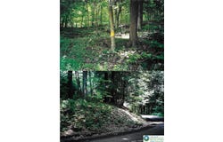 Pantherlick Road, PA 18846