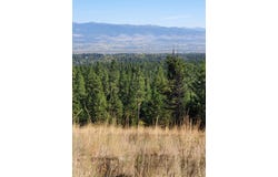Elizabeth Road, Victor, MT 59875