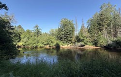 742 Beaver View Drive, Germfask, MI 49836