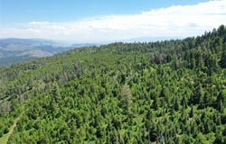 7 Tract, Garnet Range, Drummond, MT 59832