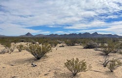 TR:604C LTM Rd, Terlingua, TX 79852