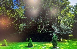Eaton Road, Williamson, NY 14589