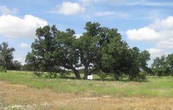 Pr 4212 lot: 12, Evant, TX 76525