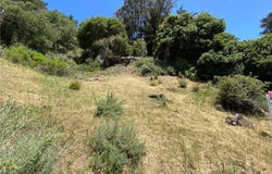 Kent Street, Cambria, CA 93428