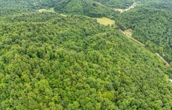 9999 State Hwy 223, Flat Lick, KY 40935