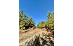 AL HIGHWAY 82, EUFAULA, AL 36027