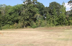 750 Red Cedar Loop lot: 14, Hernando, MS 38632