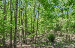 206 Westmoreland Trail, Tryon, NC 28782