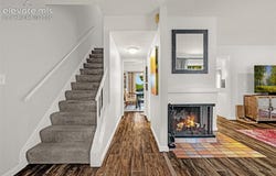 313 Raspberry Lane, Monument, CO 80132