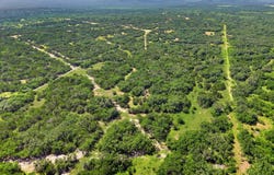 8715 FM 1796, Dhanis, TX 78850