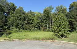 114 Camelot Drive, Elon, NC 27244