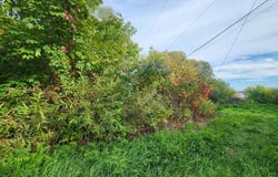 Lynde Ave, Bayfield, WI 54814
