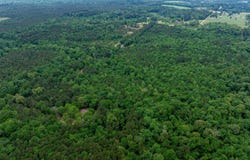 CARROLL BRASHIER ROAD, Downsville, LA 71234