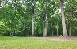 Bluff Hills Place lot: 192, Natchez, MS 39120