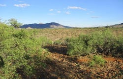 164 Circulo Frutas, Rio Rico, AZ 85648