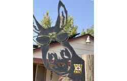 227 LAKEVIEW DR, Burbank, WA 99323