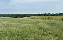 41605 S 580 RD, Jay, OK 74346